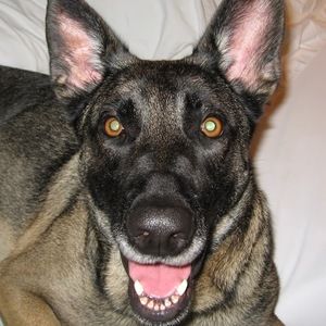 Meet your Posher, Philip